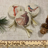 Woodland Tape Measure / Robin / Tailor’s Tape Measure