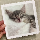 Kitten Card / Greeting Card / Personalised for any Occasion - Little Bun Designs UK