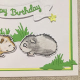 Guinea Pig Birthday Card / Handmade Card / Guinea Pig Gifts - Little Bun Designs UK