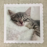 Kitten Card / Greeting Card / Personalised for any Occasion - Little Bun Designs UK