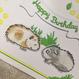 Guinea Pig Birthday Card / Handmade Card / Guinea Pig Gifts - Little Bun Designs UK