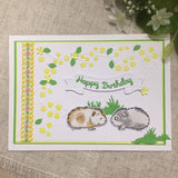 Guinea Pig Birthday Card / Handmade Card / Guinea Pig Gifts - Little Bun Designs UK