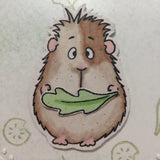 Guinea Pig Birthday Card / Quirky Best Friend Card/ Guinea Pig Lover - Little Bun Designs UK